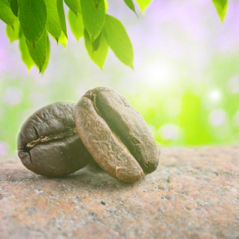 image coffee_hr_0023-jpg