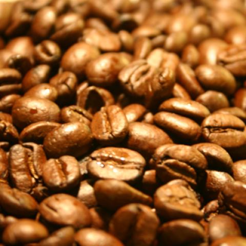 image coffee_lr_0076-jpg