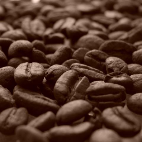 image coffee_lr_0079-jpg