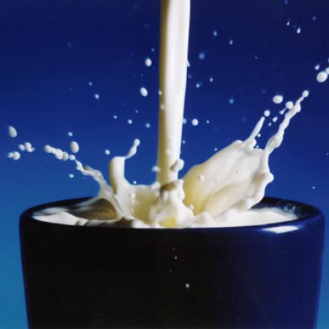 image milk_lr_0002-jpg