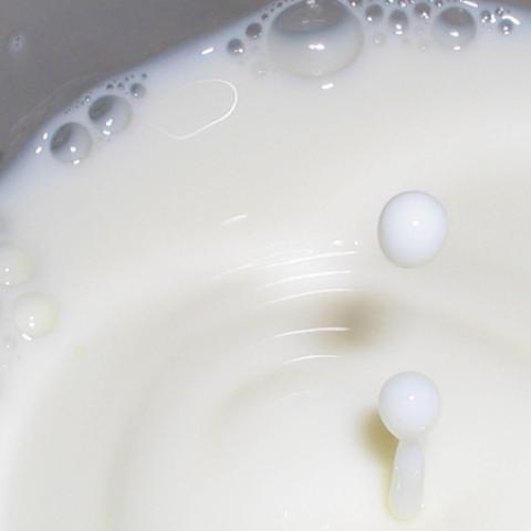 image milk_lr_0005-jpg