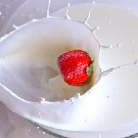 image milk_lr_0017-jpg