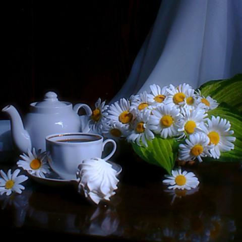 image tea_lr_0008-jpg