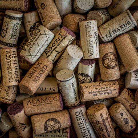 image wine_hr_0009-jpg