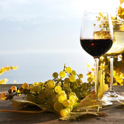 image wine_hr_0012-jpg