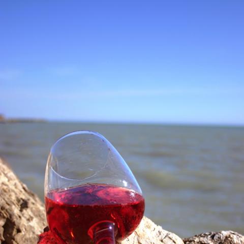image wine_lr_0019-jpg