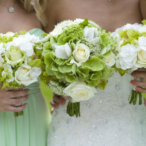 image elegant_hr_0009-jpg