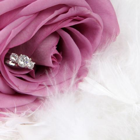 image elegant_hr_0010-jpg