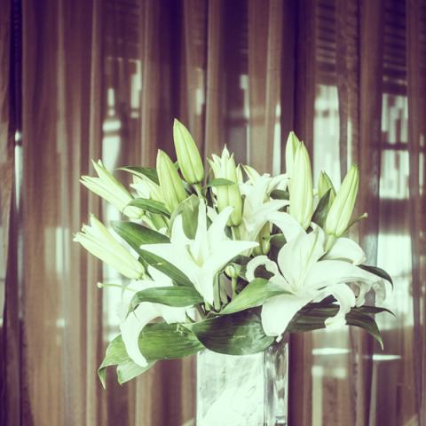 image elegant_hr_0017-jpg