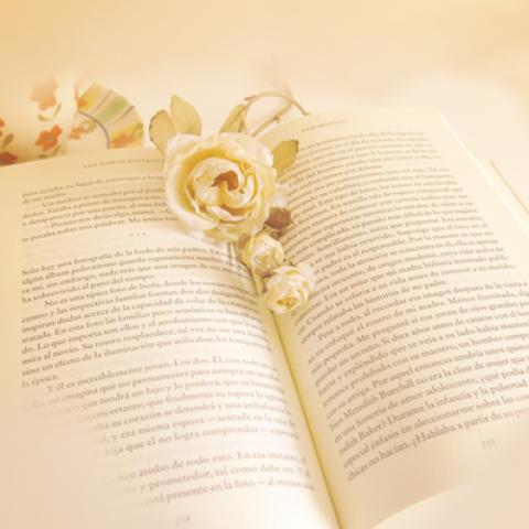 image elegant_lr_0003-jpg