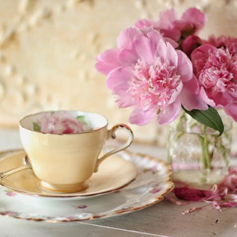 image elegant_lr_0007-jpg