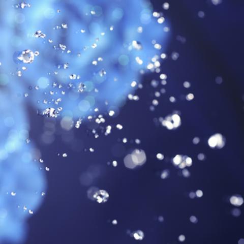 image elegant_lr_0019-jpg