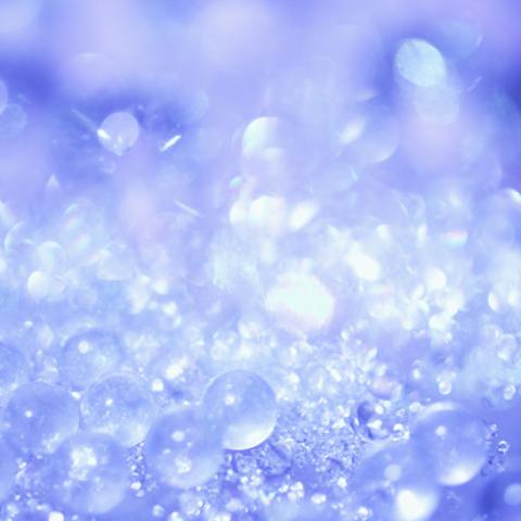 image elegant_lr_0021-jpg