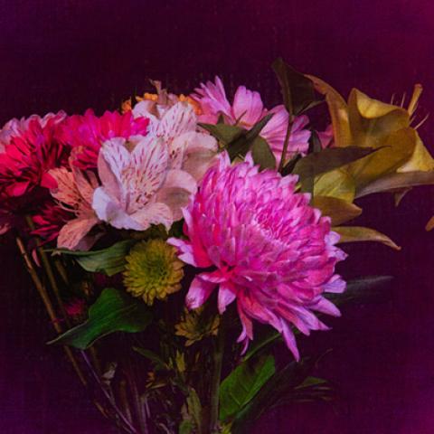 image flowers_hr_0012-jpg