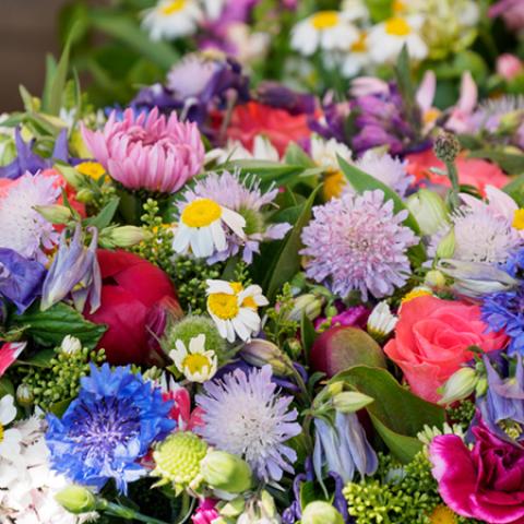 image flowers_lr_0014-jpg