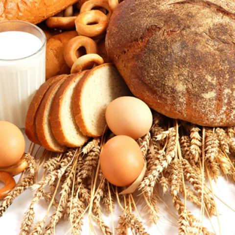 image bakery_hr_0002-jpg