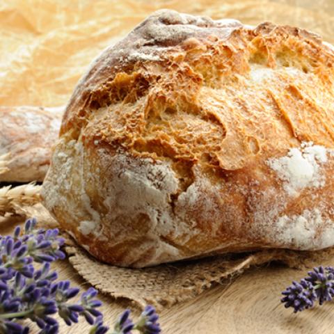 image bakery_hr_0003-jpg