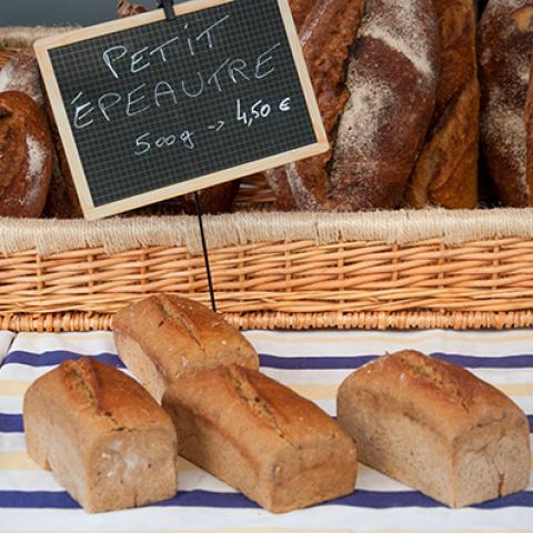 image bakery_hr_0213-jpg