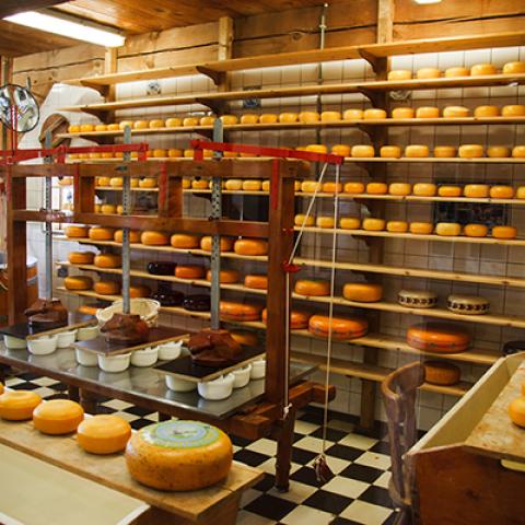 image cheese_hr_0035-jpg