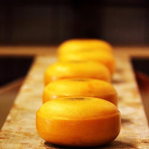 image cheese_hr_0039-jpg