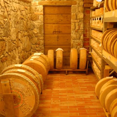 image cheese_lr_0001-jpg