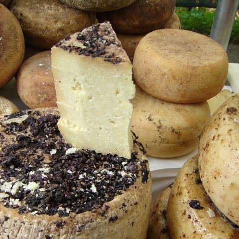 image cheese_lr_0018-jpg