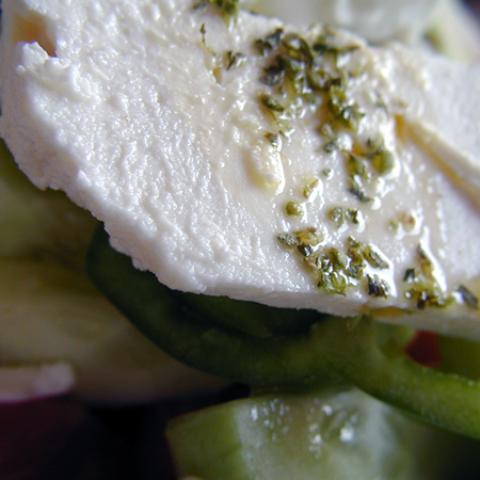 image cheese_lr_0024-jpg