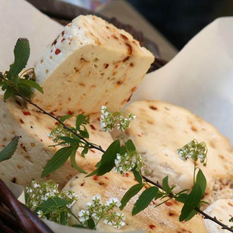 image cheese_lr_0026-jpg