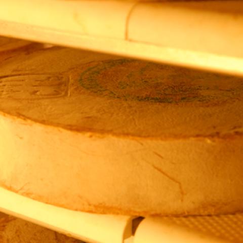 image cheese_lr_0027-jpg
