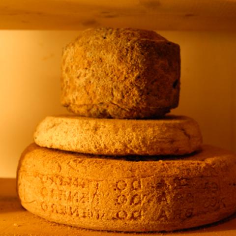 image cheese_lr_0028-jpg