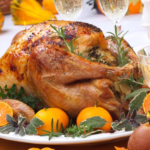 image chicken_hr_0002-jpg
