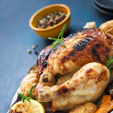 image chicken_hr_0005-jpg