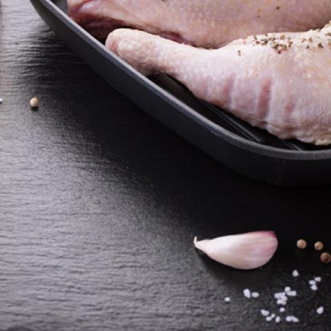 image chicken_hr_0035-jpg
