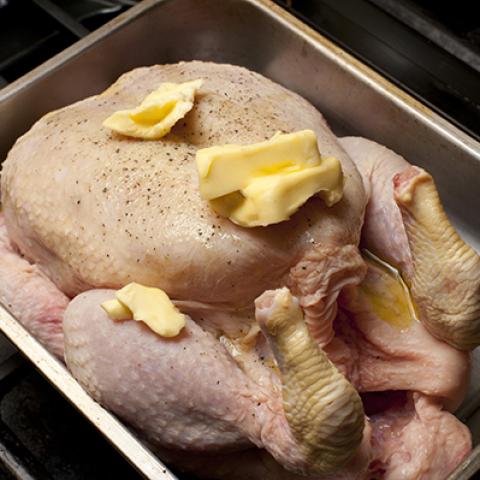 image chicken_hr_0074-jpg