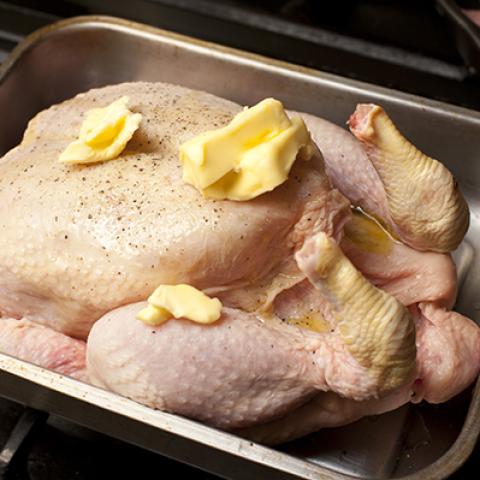 image chicken_hr_0085-jpg