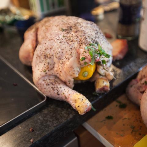 image chicken_lr_0004-jpg