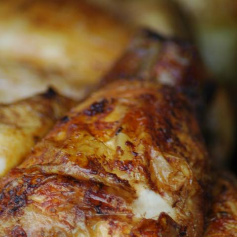 image chicken_lr_0029-jpg