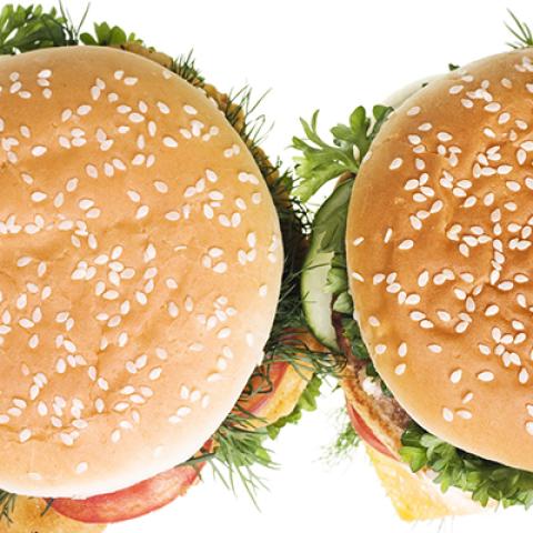 image fast_food_lr_0020-jpg