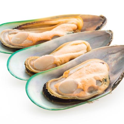 image fish_hr_0046-jpg