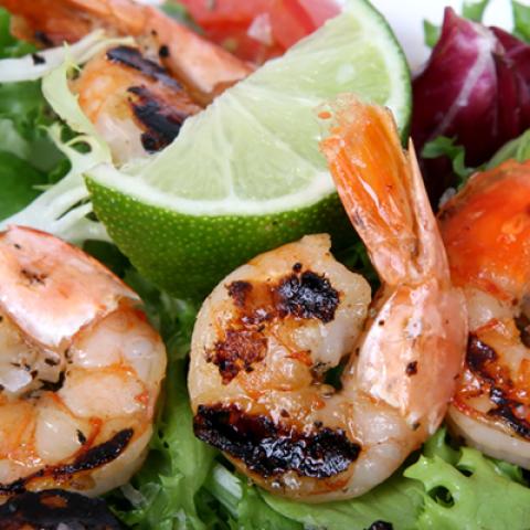 image fish_lr_0005-jpg