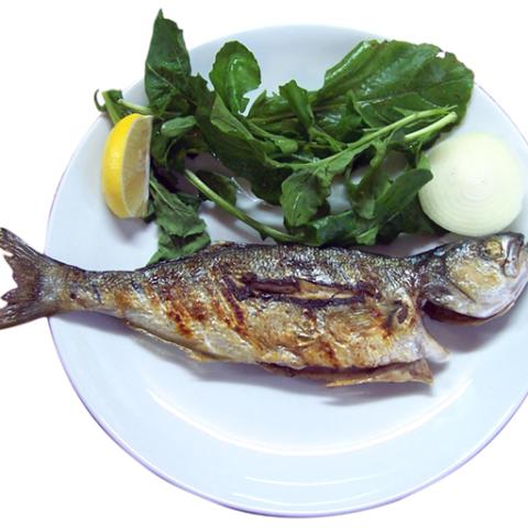 image fish_lr_0010-jpg