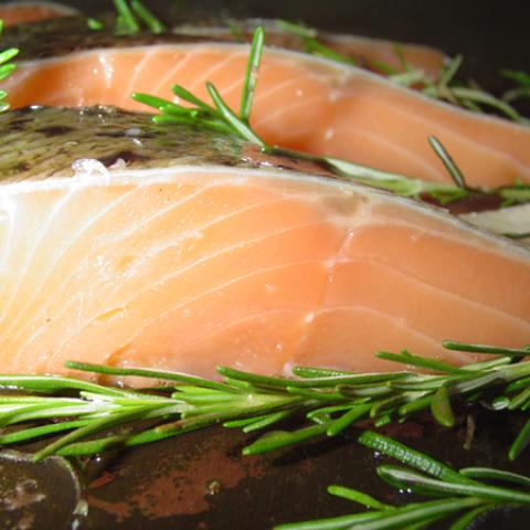 image fish_lr_0015-jpg