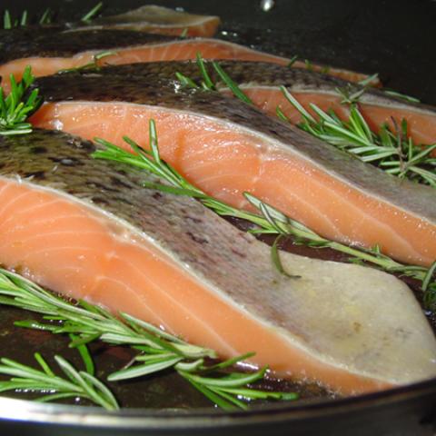 image fish_lr_0016-jpg