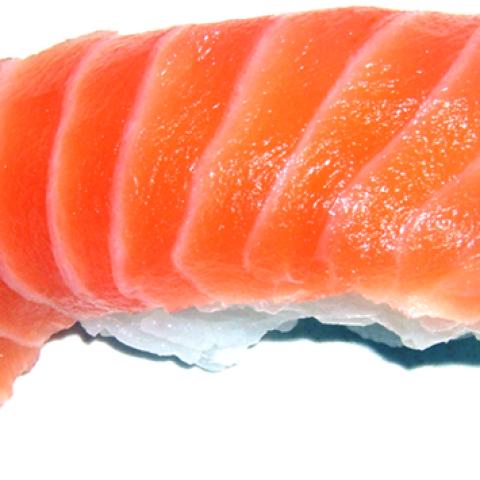 image fish_lr_0026-jpg
