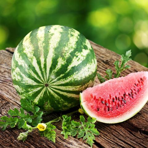 image fruits_hr_0005-jpg