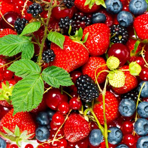 image fruits_hr_0020-jpg