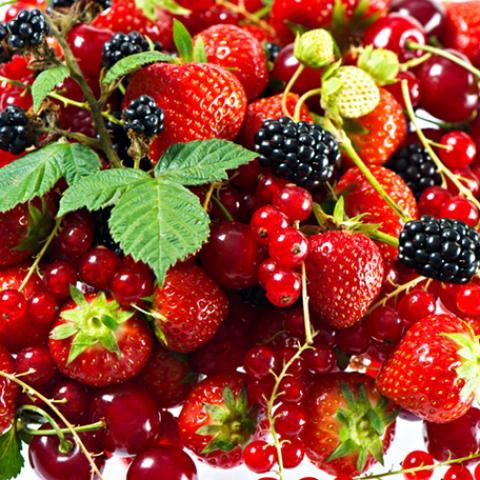 image fruits_hr_0022-jpg