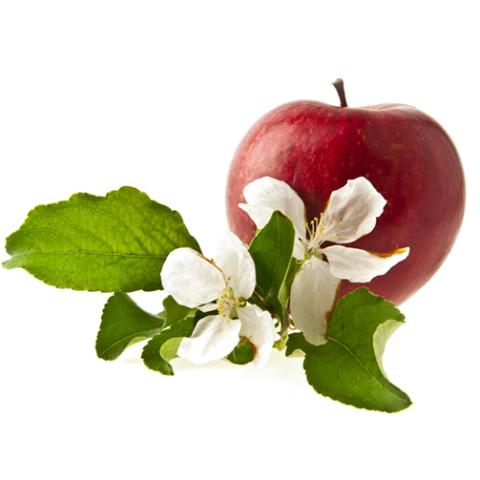 image fruits_hr_0023-jpg