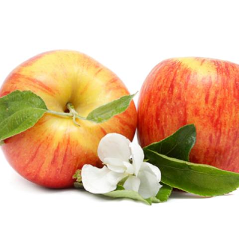 image fruits_hr_0025-jpg