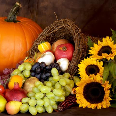 image fruits_hr_0030-jpg